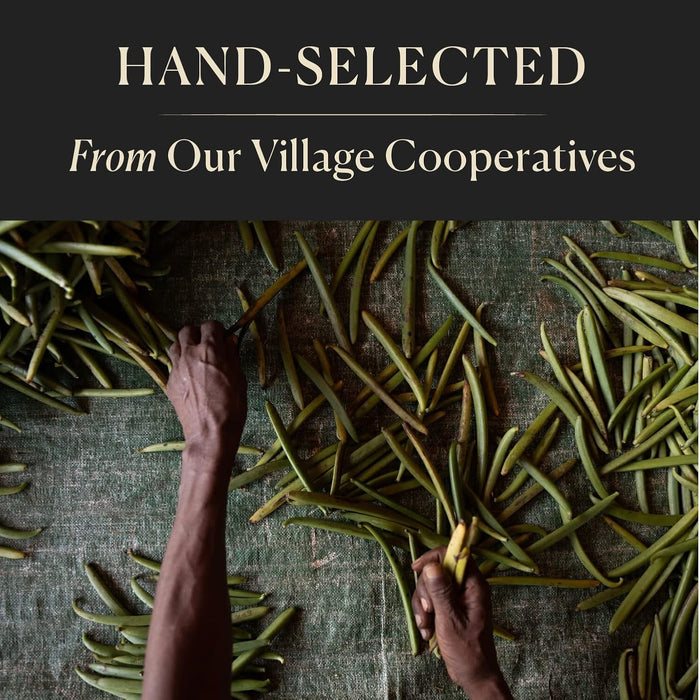10 granos de vainilla enteros orgánicos de Madagascar, cápsulas de grado A, granos de vainilla prémium para hacer extracto y hornear - Cook's - Quierox - Tienda Online