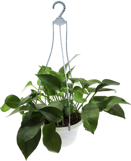 10 piezas Repuestos de plástico perchas 3 Strands para 10" Cestas Colgantes - Quierox - Tienda Online