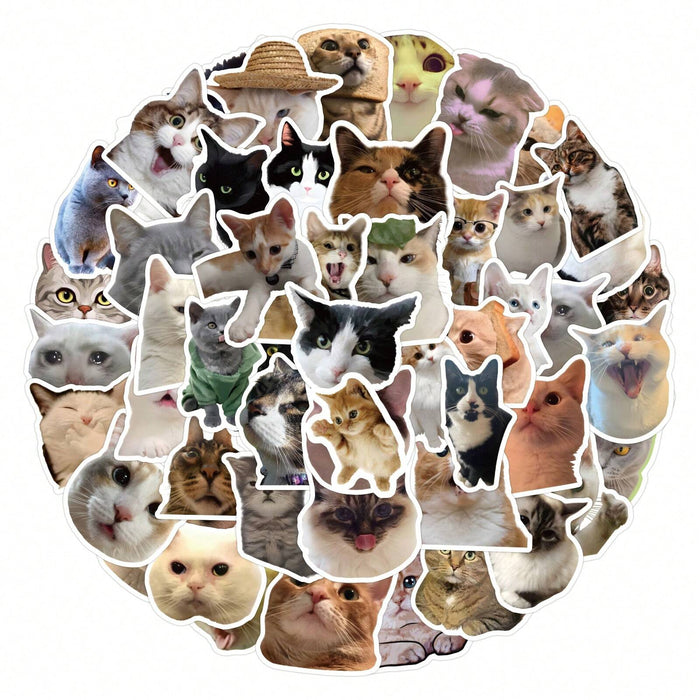 SHEIN 50 PIEZAS Pegatinas de gatos lindos, pegatinas de memes de gatos graciosos
