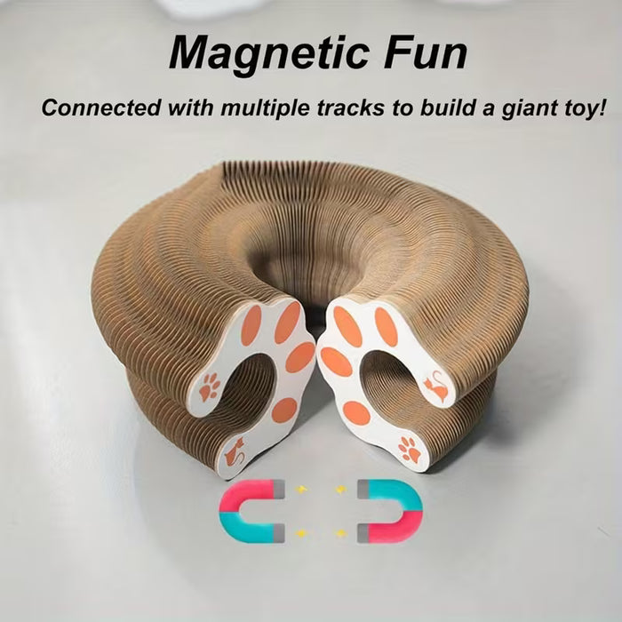 1pc Tabla rascadora para gatos estilo acordeón, Aventura de pelota para gatos