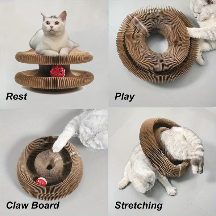 1pc Tabla rascadora para gatos estilo acordeón, Aventura de pelota para gatos