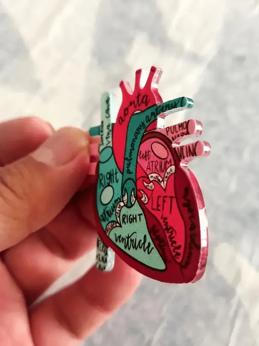 SHEIN 1pcs de carrete retráctil para credenciales con diagrama de anatomía del corazón