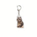 1pcs Llavero de mascota con colgante de acrílico con foto de gato, para mochila - Quierox - Tienda Online
