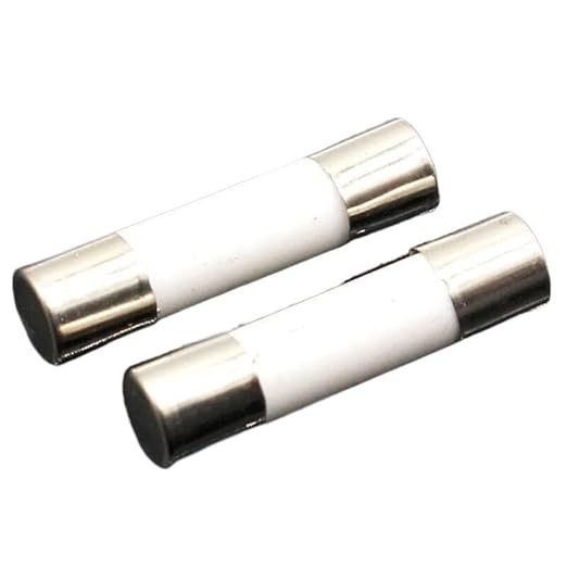 2 Fusible de cartucho de cerámica, cartucho de tubo de cerámica - Quierox - Tienda Online