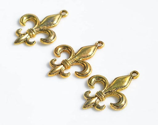 20 dijes de tono dorado de flor de lis - Quierox - Tienda Online