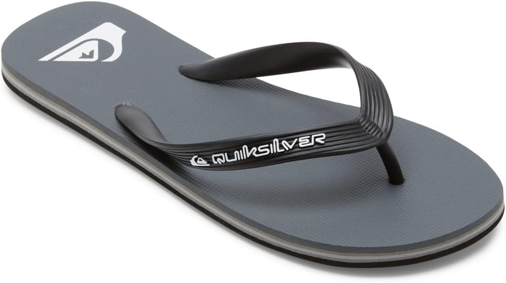 Quiksilver Molokai Chanclas Gris Hombre
