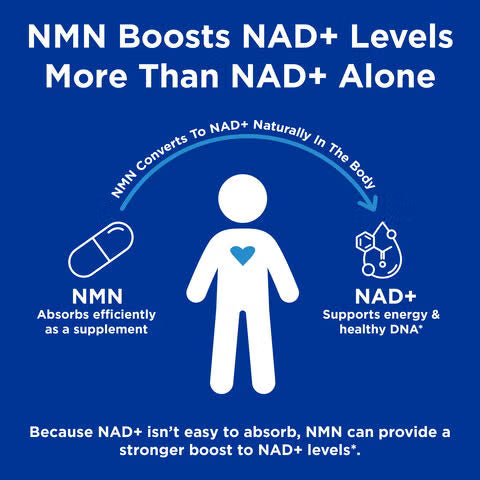 GNC Preventive Nutrition® NMN – Cápsulas de apoyo para NAD+ - 60 cápsulas