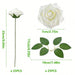 5pcs Flores de rosa artificiales blancas con tallos y 6 hojas, rosas falsas realistas - Quierox - Tienda Online