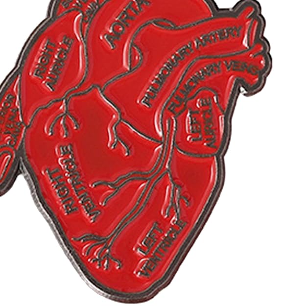 Shein Broche de solapa de metal con forma de corazón anatómico para ropa