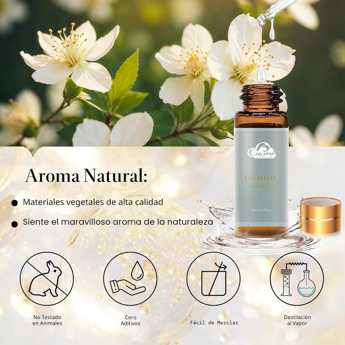 Juego de 14 aceites esenciales de fragancia, aceites de aromaterapia para la piel