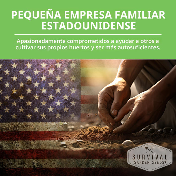 Semillas de hierbas medicinales para plantar, paquete de 18 variedades de reliquia sin OMG