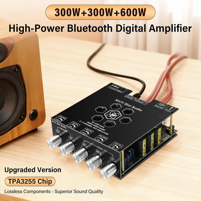 Daakro AS21HPA Placa de amplificador Bluetooth de 2.1 canales