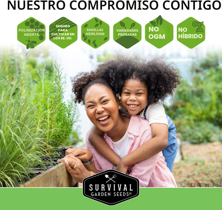 Semillas de hierbas medicinales para plantar, paquete de 18 variedades de reliquia sin OMG