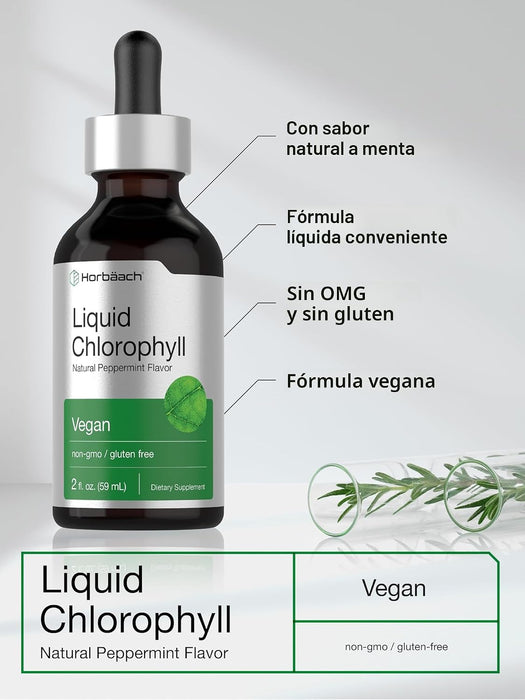Gotas de clorofila líquida Horbäach | 59 ml | Sabor natural a menta