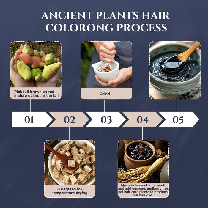 Dyeing 221 BC Tinte para el cabello negro cobertura 100 % de canas sin amoníaco libre de PPD, 5.29 fl.oz