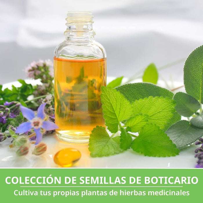 Semillas de hierbas medicinales para plantar, paquete de 18 variedades de reliquia sin OMG
