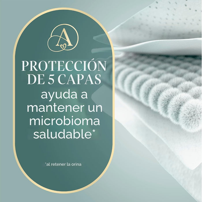 Pampers Amore, Talla 2 (4,5-10 kg), 74 unidades