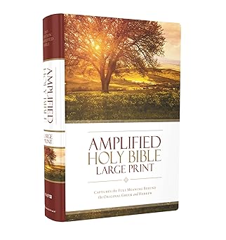 Biblia Santa Amplificada, letra grande, tapa dura : ‎ English