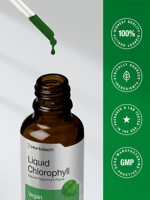Gotas de clorofila líquida Horbäach | 59 ml | Sabor natural a menta