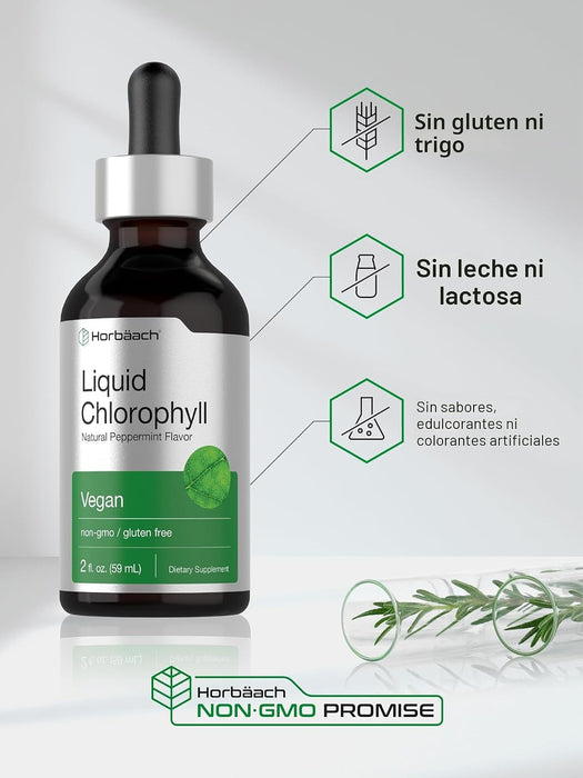 Gotas de clorofila líquida Horbäach | 59 ml | Sabor natural a menta