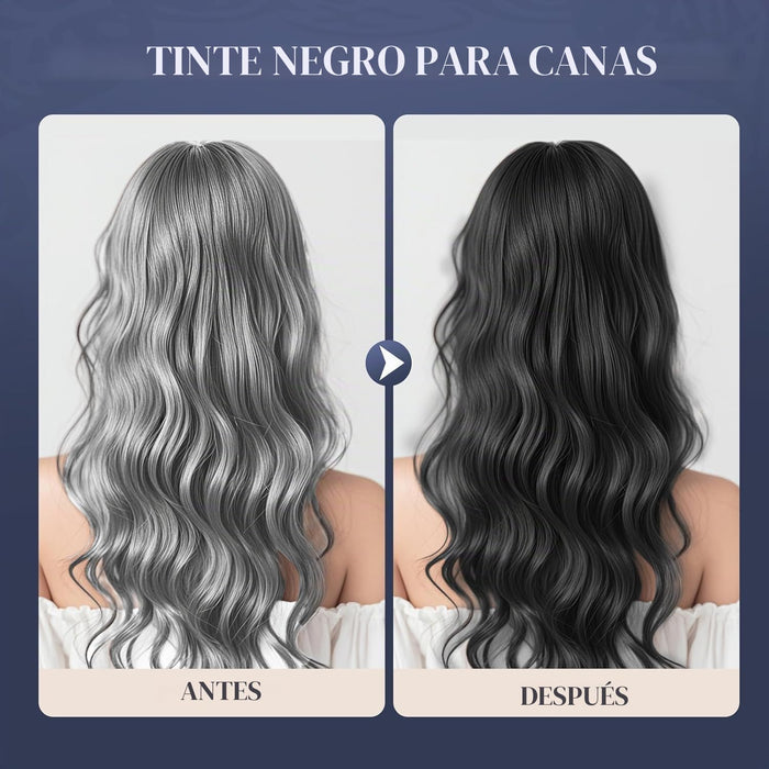 Dyeing 221 BC Tinte para el cabello negro cobertura 100 % de canas sin amoníaco libre de PPD, 5.29 fl.oz