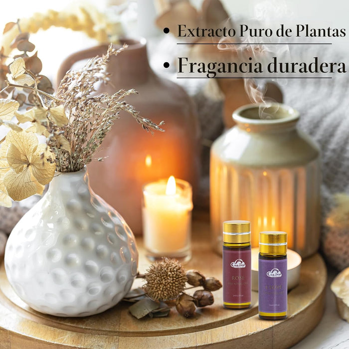 Juego de 14 aceites esenciales de fragancia, aceites de aromaterapia para la piel