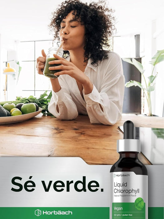 Gotas de clorofila líquida Horbäach | 59 ml | Sabor natural a menta