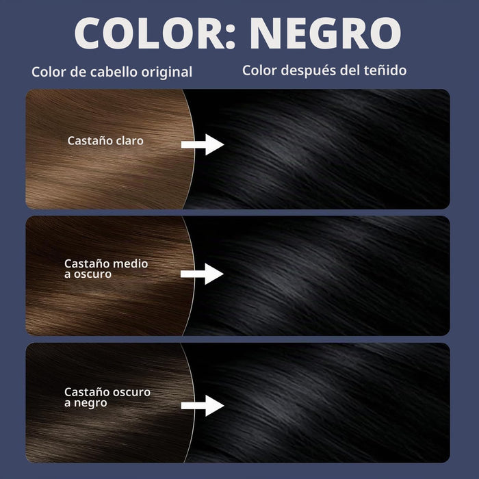 Dyeing 221 BC Tinte para el cabello negro cobertura 100 % de canas sin amoníaco libre de PPD, 5.29 fl.oz