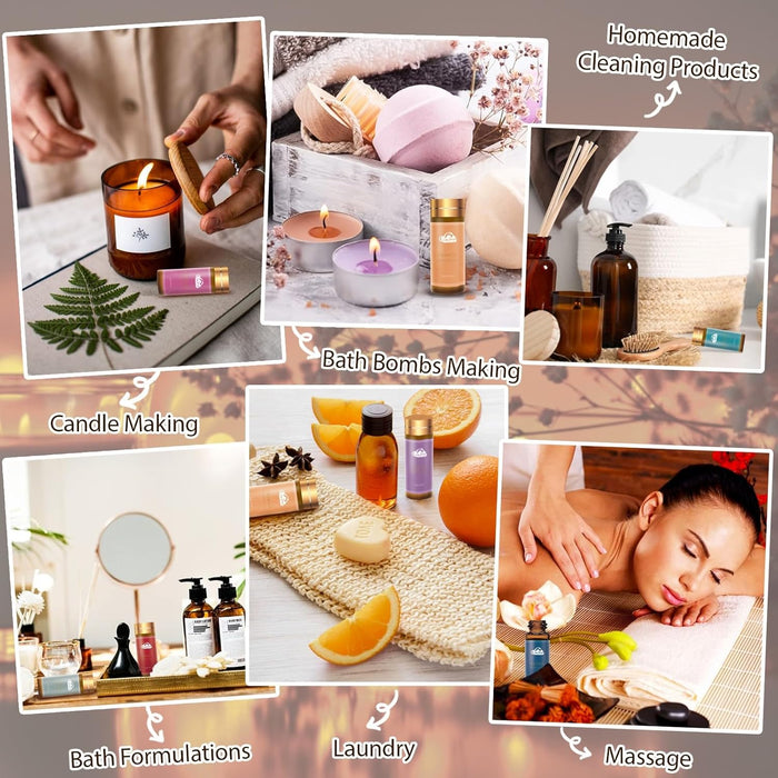 Juego de 14 aceites esenciales de fragancia, aceites de aromaterapia para la piel