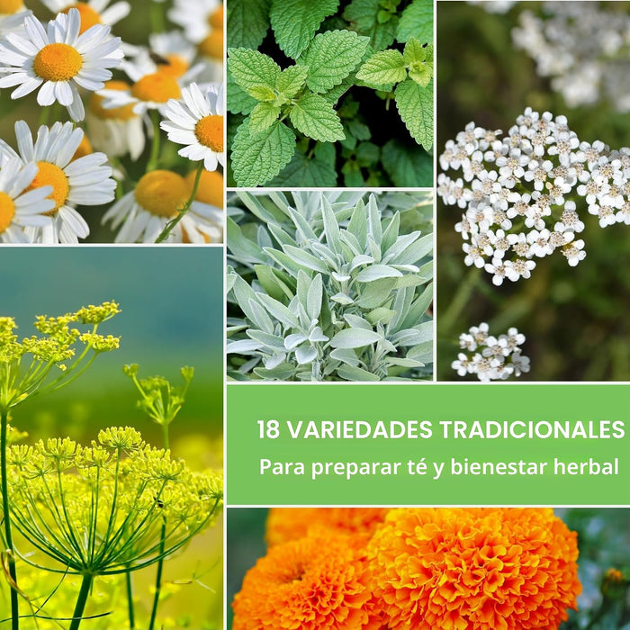 Semillas de hierbas medicinales para plantar, paquete de 18 variedades de reliquia sin OMG
