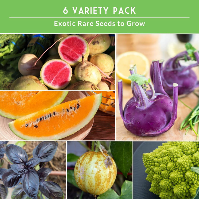 Raras semillas exóticas de vegetales y frutas para plantar – Paquete de 6 variedades