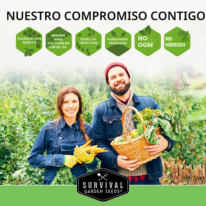 Raras semillas exóticas de vegetales y frutas para plantar – Paquete de 6 variedades