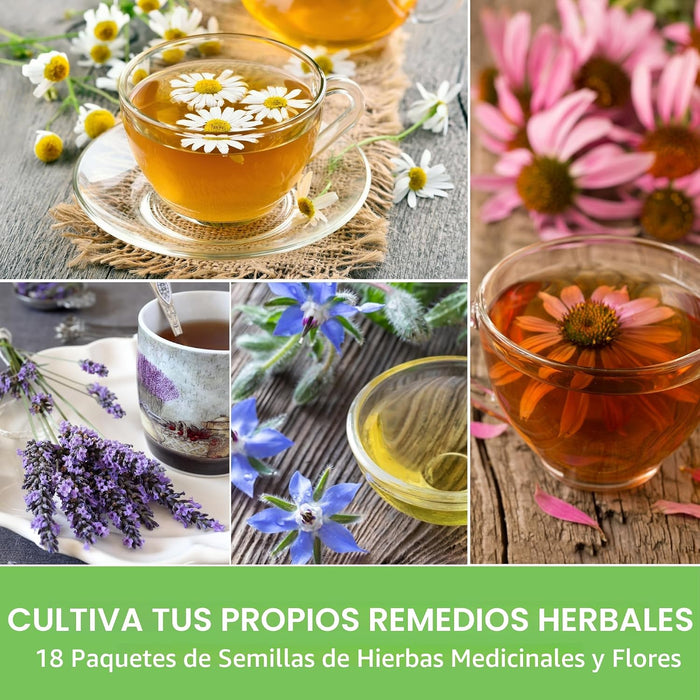 Semillas de hierbas medicinales para plantar, paquete de 18 variedades de reliquia sin OMG