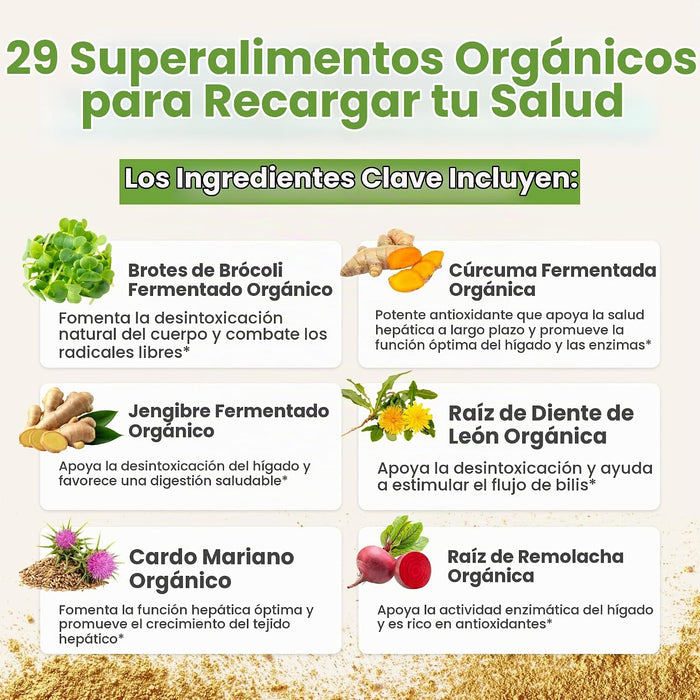 Myers Detox Daily Greens Organic Detox Greens Polvo con brotes de brócoli, 30 porciones