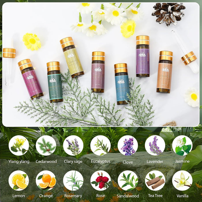 Juego de 14 aceites esenciales de fragancia, aceites de aromaterapia para la piel