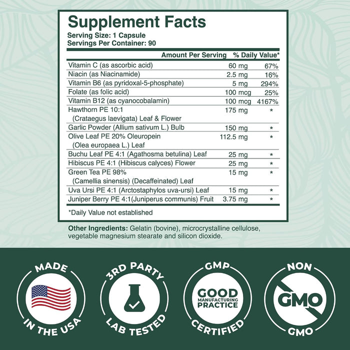 PurePremium Suplementos para la presión arterial con baya de espino, hibisco, ajo y vitamina B12, 90 cápsulas