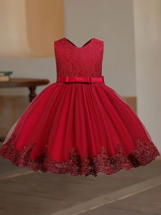 Vestido de niña, Vestido de princesa de malla con bordado de encaje