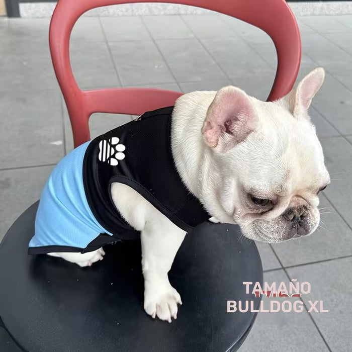 Chaleco de Malla Transpirable con Huella de Pata, Lavable a Máquina, Ropa para Mascotas