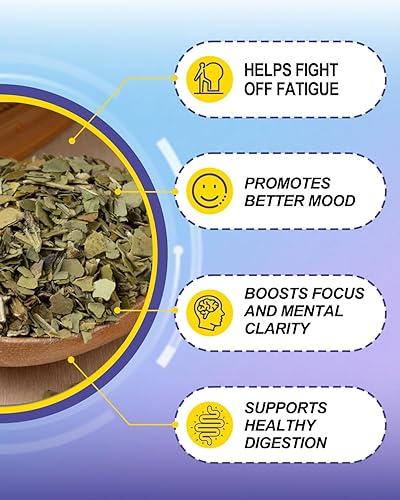 Cápsulas de Yerba Mate – 75 mg de cafeína natural para un aporte energético óptimo y una mente despejada