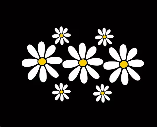 Transferencias termoadhesivas de margaritas blancas para camisetas, almohadas, bolsos...
