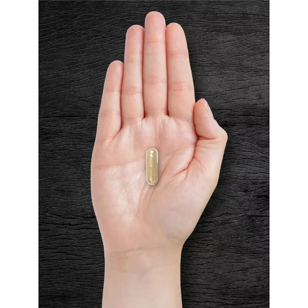 Carlyle Pygeum Africanum estandarizado 1300 mg, 240 Cápsulas