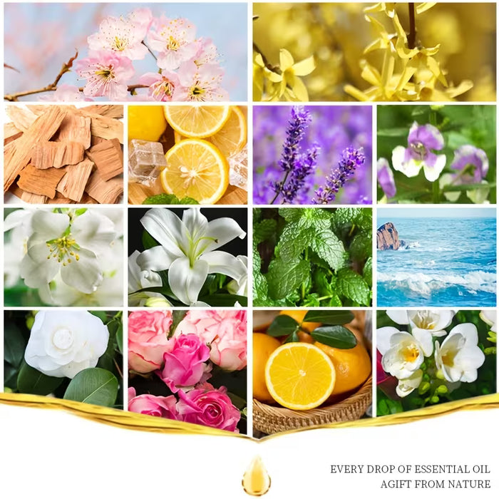 Aceites Esenciales de 10 ml/0.34 Fl.Oz Adecuados para Difusores y Humidificadores