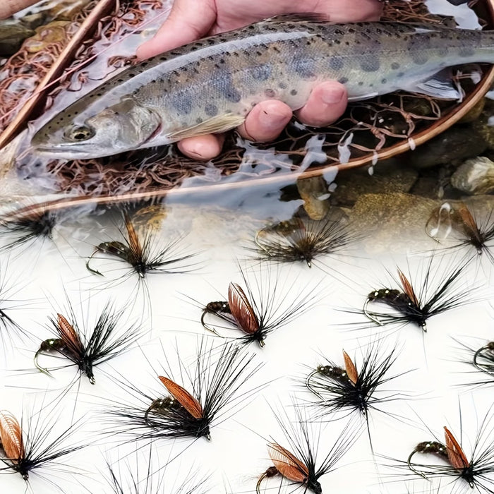 8pcs Caja Moscas de Pesca Artificial Ninfas Escarabajo Seco Cebos para Atraer Truchas