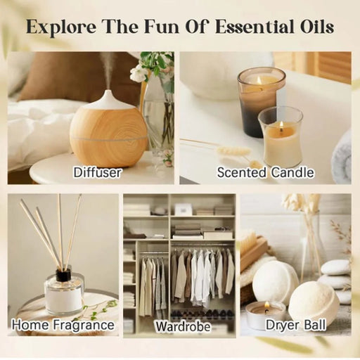 Aceite aromático de fragancia de plantas, 5ml, 24 botellas, aceite esencial refrescante para aliviar el estrés - Quierox - Tienda Online