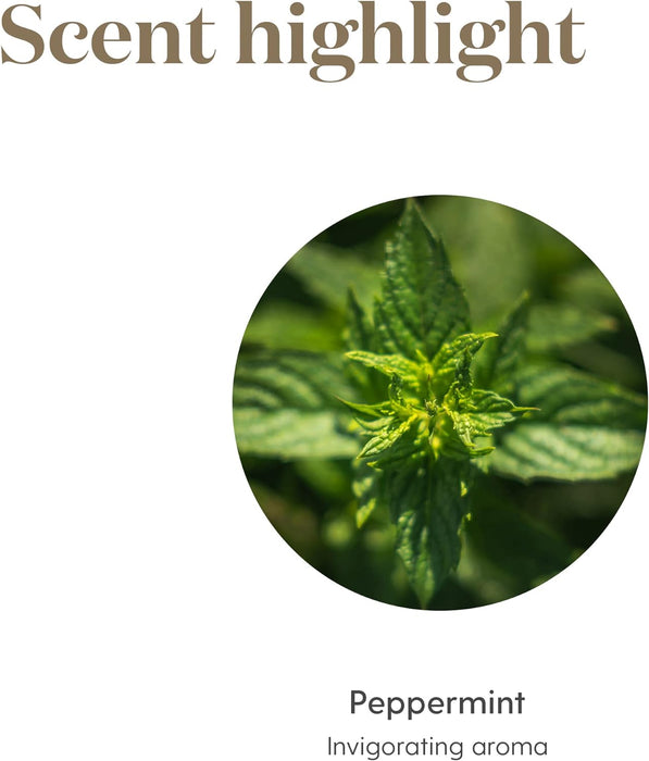 Aceite esencial de menta Young Living Essential Oils, 0.52 fl. oz - Quierox - Tienda Online