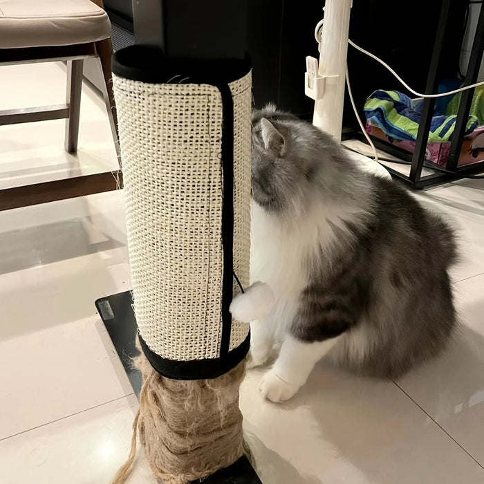 Alfombra de rascado de sisal para gatos - Protector de sofá con bola colgante para gatos - Quierox - Tienda Online