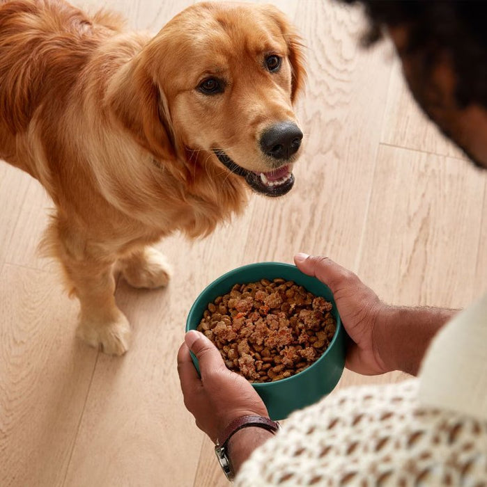 Alimento húmedo para perros Jinx con receta de pollo y batata EXP 12/2026 - Quierox - Tienda Online