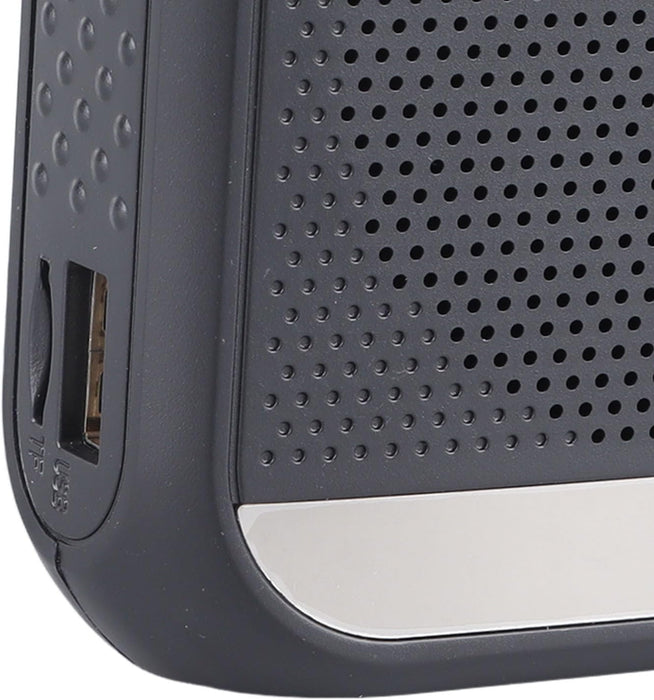 Amplificador de voz portátil, amplificador de voz para profesores con micrófono - Quierox - Tienda Online