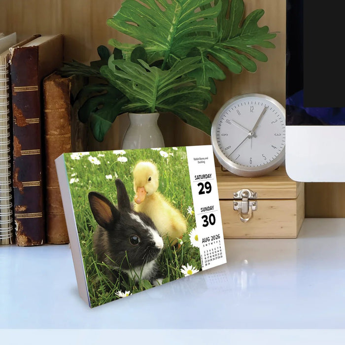 Animales bebés 2026 - Página en caja por día - Quierox - Tienda Online