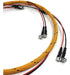 Arnés de cables Fedex 305 - 4893 motor E320D C6.4 - Quierox - Tienda Online